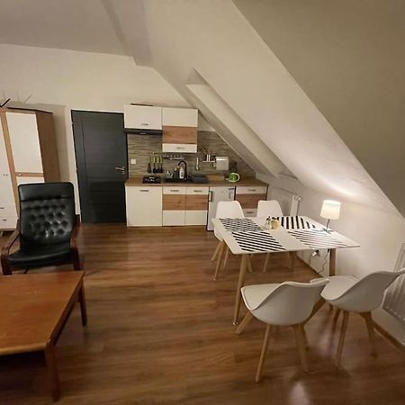 Francis Apartment - Lazenske Centrum Karlovy Vary Extérieur photo